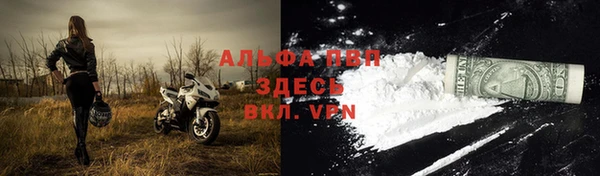 прущие грибы Армянск