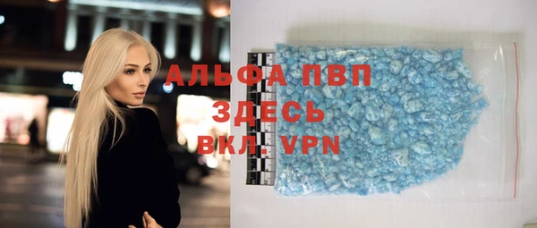 прущие грибы Армянск