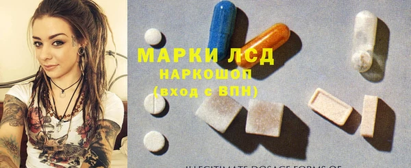 прущие грибы Армянск